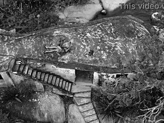 regina falange enjoys amateur sex with her cousin's boyfriend, a fresh young delight