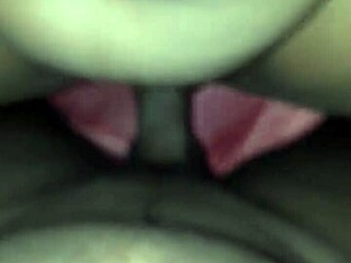 Brother's Sister-In-Law's Delightful Family Gathering