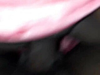 Brother's Sister-In-Law's Delightful Family Gathering