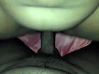 Brother's Sister-In-Law's Delightful Family Gathering