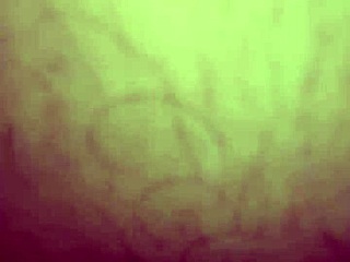 Feeling Intense Pleasure While Sucking In The Suv With Interracial Passion