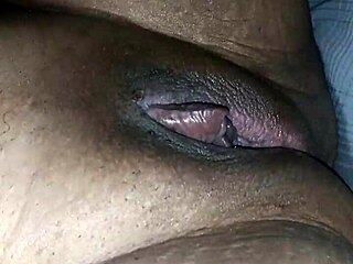 Mr. Long Tongue Licks