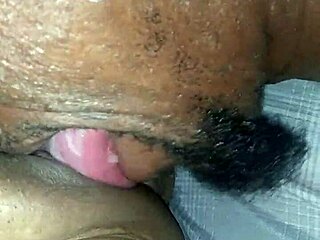 Mr. Long Tongue Licks