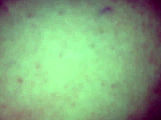 the wife uses toys and fingers herself to orgasm, screaming loudly in close-up