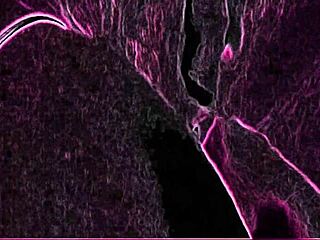 watch this wife sucking cock in hidden clips with her couple