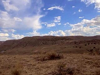 ginger b relaxes under high desert sun tanning