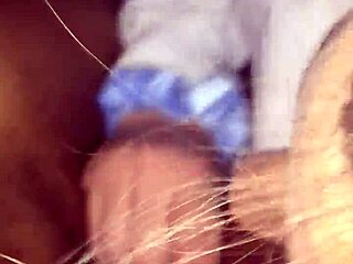 Amateur Eats Big Black Monster Cock Interracially