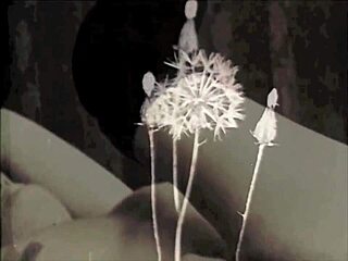 vintage flatmate cheats on her boyfriend with hairy passion. retro beaver exposed in antique setting.