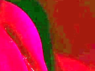 hot girl masturbates after school with oiled pussy 😏