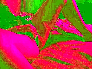 hot girl masturbates after school with oiled pussy 😏