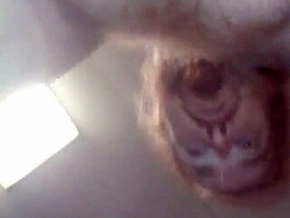 Momma Bear enjoys Mr. Bigcumshot's attention on her natural tits