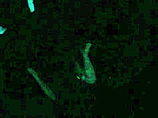 Scarlett Johnson Blacklight Sex POV 4