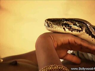 This sexy asian milf looks great while sucking and stroking.