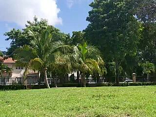 Gorgeous Day Turns Into Hot POV Scene With Girlfriend In Sexy Dress Bringing That Pussy Home.