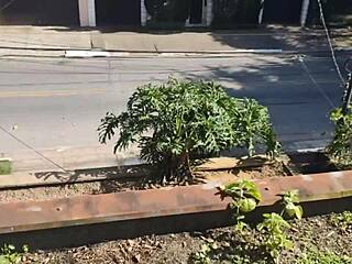 Outdoor Roof Fuck With Boyfriend's Cum Swallow!