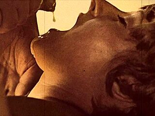 dark lantern entertainment shares vintage taboo family confessions