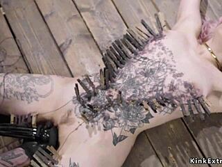 Torment That Sub Now!