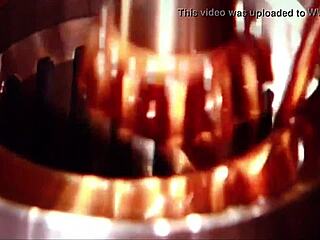 early morning sex with wife on summer day