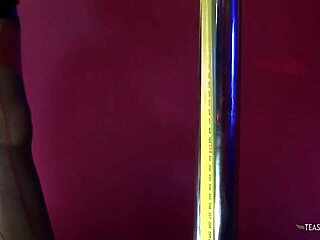 Gorgeous brunette milf enjoys oral and doggystyle with wet pussy sucking.