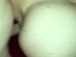 stefan and frauke getting pregnant together 😍