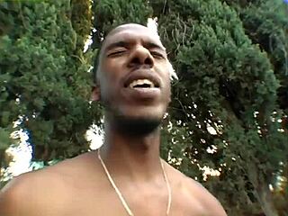 Outdoor hardcore scene with black babe sucking and receiving facial cumshot.