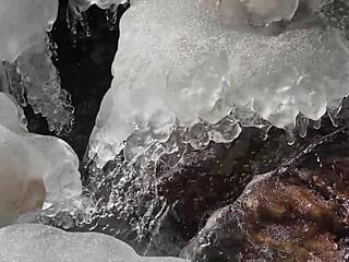 feeling the pleasure of kate dee's big oiled ass in doggystyle