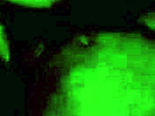 homemade video of a thick ebony woman getting a facial after fucking