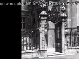 step into the captivating era of vintage adult films with hairy mature stars