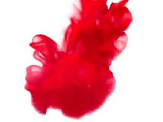 Instead of Partying, He Throws a Wild Bash in My Tight Brazilian Backdoor - Full on XVRed