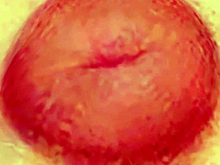 Doa5 yukino gravure studio session on 11 6