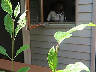 nikki gets fucked doggystyle from behind with her big tits bouncing