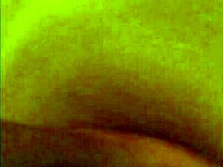 One Night Stand on Wild Street