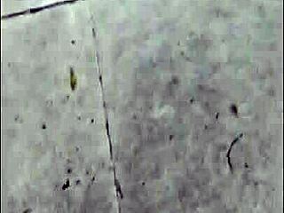 I'm Felicity Feline, dancing on set in this compilation.