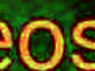 X Videos Showcase Explicit Pussy Action in Detail