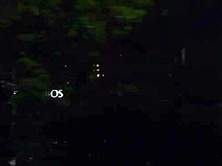 thalia senna performs capoeira with client at work