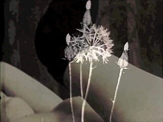 hey, check these vintage lesbian clips from dark lantern entertainment, pure retro heat! 🔥