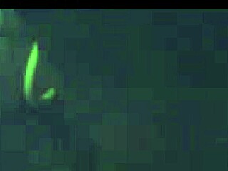 i'm getting a wet blowjob from my ex with her big black cock