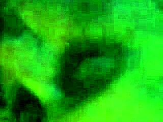 Bbshorty shown from a different angle