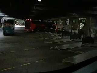 During my six-hour travel from SP to RJ, I shaved my Brazilian pussy well and got horny on the bus, ready for outdoor oral and cumshot with amateurs