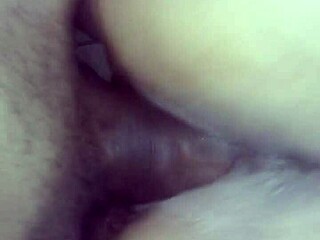 Black Prostitute Delivers Intense Assfucking To Mature Wife Requested By Cuckold Husband