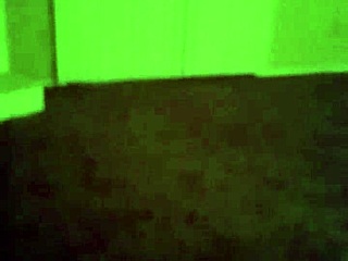 Black Beauty in Mysterious Encounter