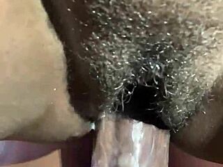 Ebony couple with monster cock in breeding session