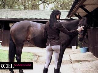 i bent her over for a handjob and cumshot in the stables