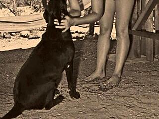 Vintage hairy pussy gets wild doggystyle pounding outdoors in retro scene