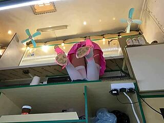 I'm So Turned On Watching This Cute 18-Year-Old Brunette Upskirted at Work by Hidden Cam.