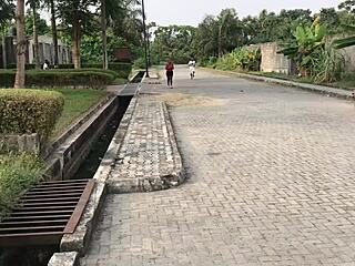 why did i fuck her after morning jogging? she sucked so good