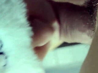 In this homemade scene, the blonde amateur enjoys a big cock blowjob and orgasm