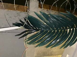 dirty little street girl gets fucked rough