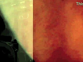 Exploring erotic confessions of a Victorian gentleman