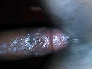 amateur creampie with black ebony bareback